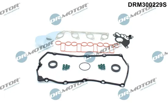 Dichtungssatz, Zylinderkopf Dr.Motor Automotive DRM300229S Bild Dichtungssatz, Zylinderkopf Dr.Motor Automotive DRM300229S