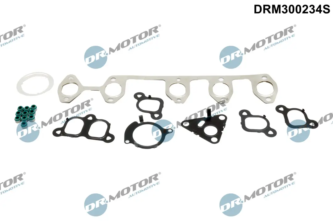Dichtungssatz, Zylinderkopf Dr.Motor Automotive DRM300234S
