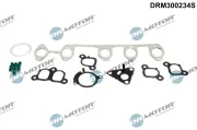 Dichtungssatz, Zylinderkopf Dr.Motor Automotive DRM300234S