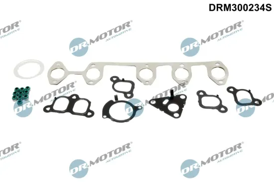 Dichtungssatz, Zylinderkopf Dr.Motor Automotive DRM300234S Bild Dichtungssatz, Zylinderkopf Dr.Motor Automotive DRM300234S