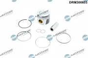 Kolben an Absperrhahn Dr.Motor Automotive DRM300603