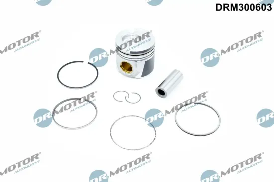 Kolben an Absperrhahn Dr.Motor Automotive DRM300603 Bild Kolben an Absperrhahn Dr.Motor Automotive DRM300603