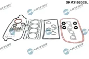 Dichtungsvollsatz, Motor Dr.Motor Automotive DRM310200SL