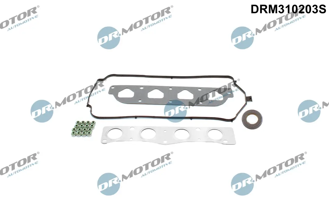 Dichtungssatz, Zylinderkopf Dr.Motor Automotive DRM310203S