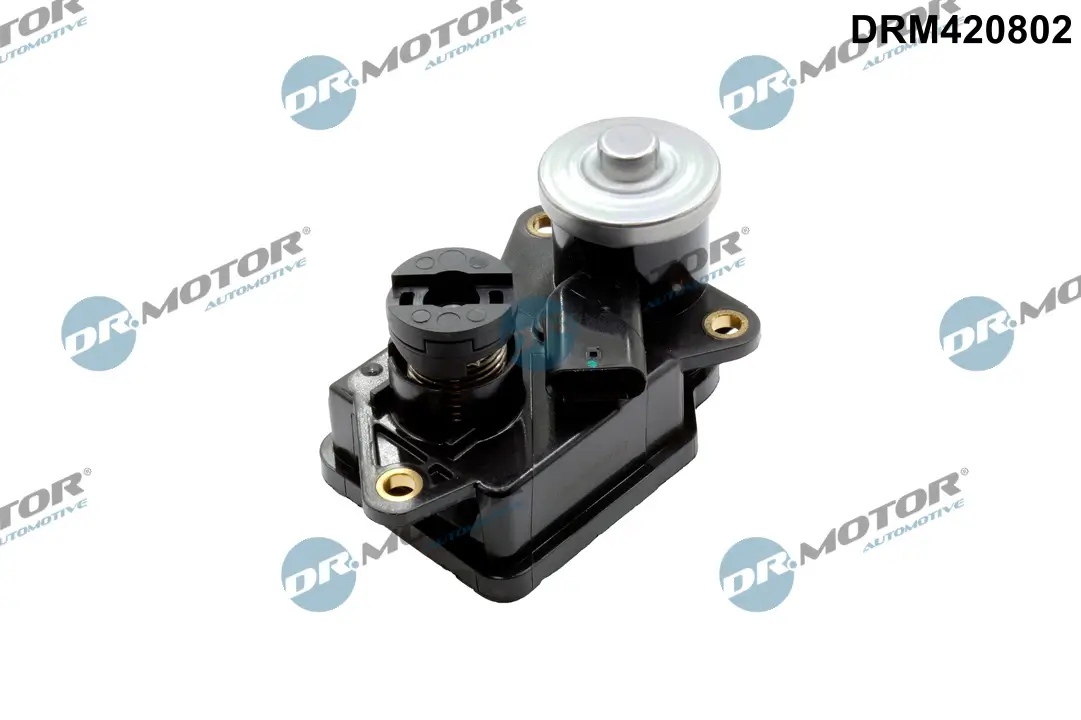 Stellelement, Drallklappen (Saugrohr) Dr.Motor Automotive DRM420802