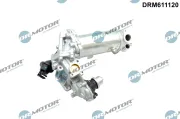 AGR-Ventil Dr.Motor Automotive DRM611120