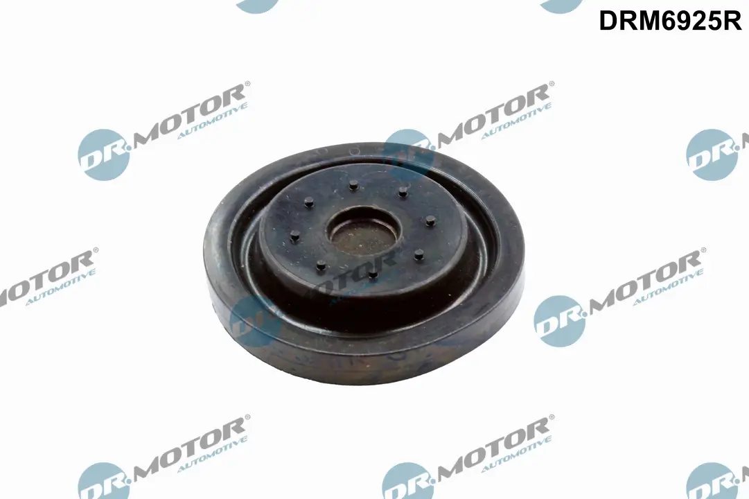 Reparatursatz, Kurbelgehäuseentlüftung Dr.Motor Automotive DRM6925R