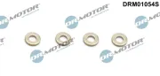 Wärmeschutzscheibe, Einspritzanlage Dr.Motor Automotive DRM01054S