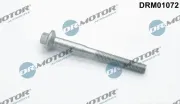 Schraube, Einspritzdüsenhalter Dr.Motor Automotive DRM01072