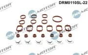 Reparatursatz, Saugrohrmodul Dr.Motor Automotive DRM0110SL-22