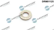 Wärmeschutzscheibe, Einspritzanlage Dr.Motor Automotive DRM01125