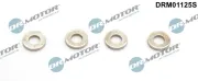 Wärmeschutzscheibe, Einspritzanlage Dr.Motor Automotive DRM01125S