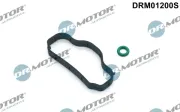 Dichtungssatz, Zylinderkopfhaube Dr.Motor Automotive DRM01200S