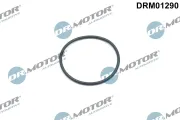 Dichtring, Steuerkettenspanner Dr.Motor Automotive DRM01290