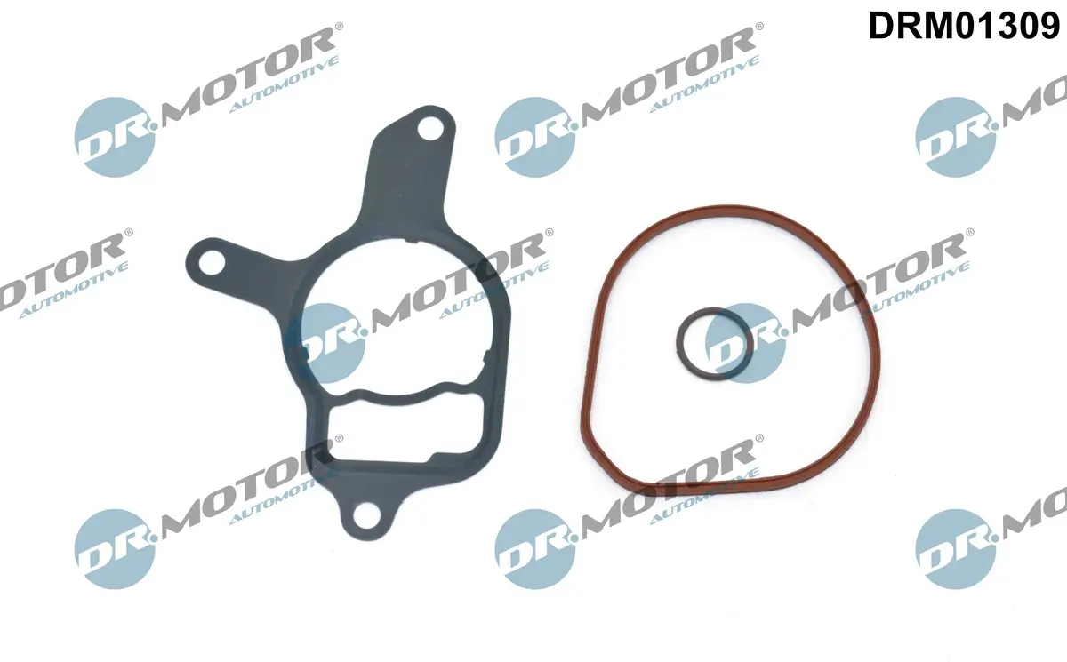 Dichtungssatz, Unterdruckpumpe Dr.Motor Automotive DRM01309