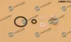 Reparatursatz, Einspritzdüse Dr.Motor Automotive DRM01312