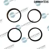 Dichtungssatz, Ansaugkrümmer Dr.Motor Automotive DRM0133S