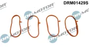 Dichtungssatz, Ansaugkrümmer Dr.Motor Automotive DRM01429S