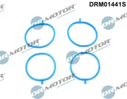 Dichtungssatz, Ansaugkrümmer Dr.Motor Automotive DRM01441S