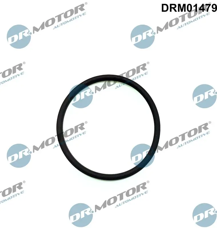 Dichtung, Einspritzpumpe innen Dr.Motor Automotive DRM01479