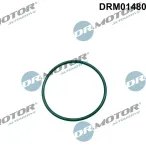 Dichtung, Einspritzpumpe außen Dr.Motor Automotive DRM01480