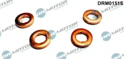 Wärmeschutzscheibe, Einspritzanlage Dr.Motor Automotive DRM0151S