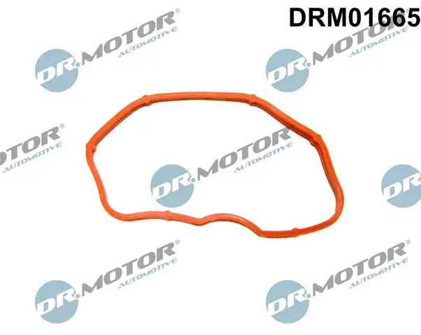 Dichtung, Ansaugkrümmer Ausgang Dr.Motor Automotive DRM01665