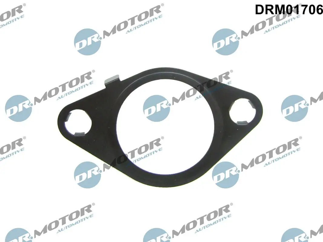 Dichtung, AGR-Ventil nach AGR-Kühler Dr.Motor Automotive DRM01706