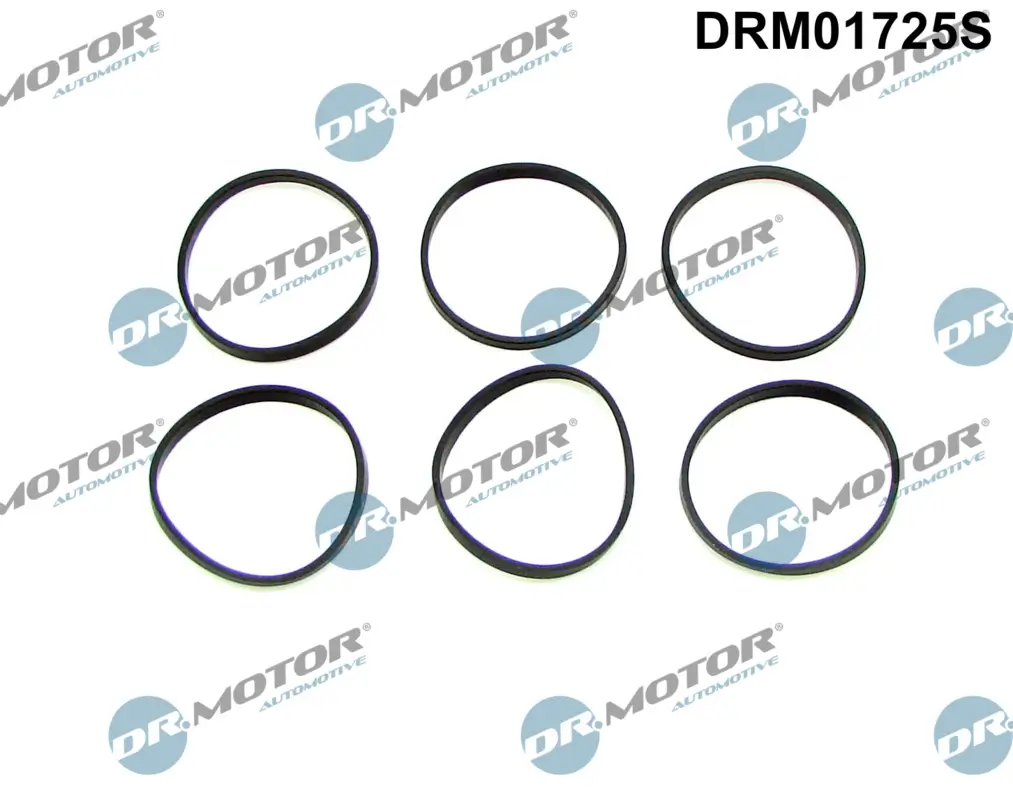 Dichtungssatz, Ansaugkrümmer Dr.Motor Automotive DRM01725S