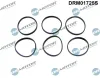 Dichtungssatz, Ansaugkrümmer Dr.Motor Automotive DRM01725S