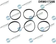 Dichtungssatz, Ansaugkrümmer Dr.Motor Automotive DRM01725S