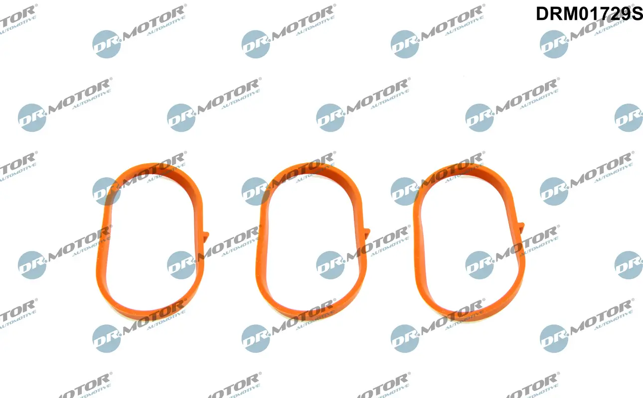 Dichtungssatz, Ansaugkrümmer unten Dr.Motor Automotive DRM01729S