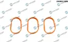 Dichtungssatz, Ansaugkrümmer unten Dr.Motor Automotive DRM01729S