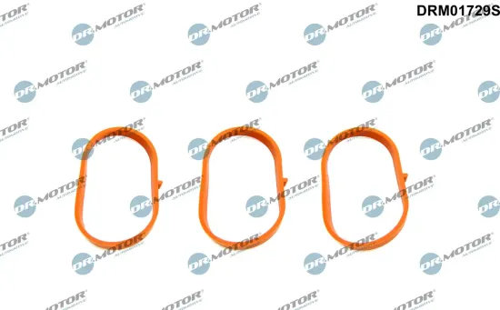 Dichtungssatz, Ansaugkrümmer unten Dr.Motor Automotive DRM01729S Bild Dichtungssatz, Ansaugkrümmer unten Dr.Motor Automotive DRM01729S