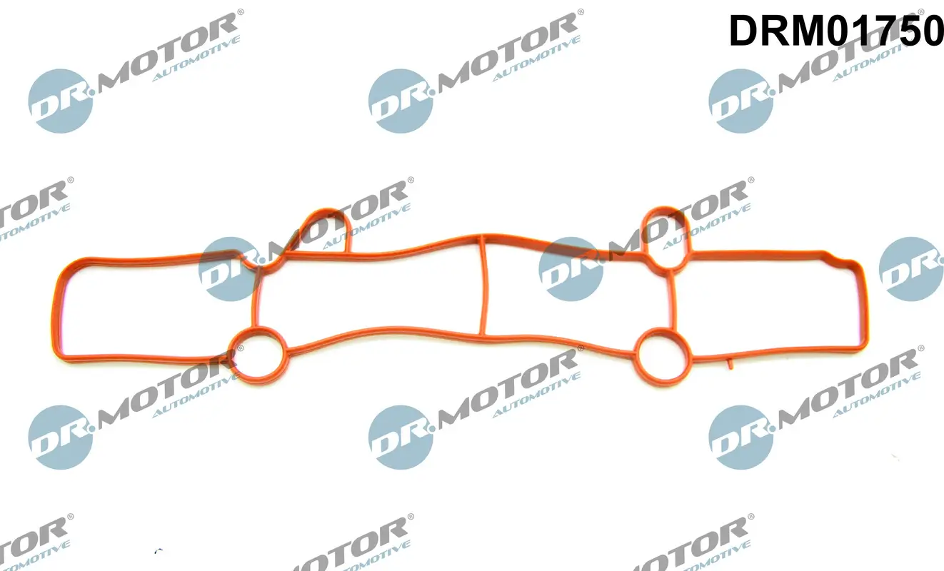 Dichtung, Ansaugkrümmer Ausgang Dr.Motor Automotive DRM01750