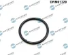 Dichtung, Ansaugkrümmer Dr.Motor Automotive DRM01770