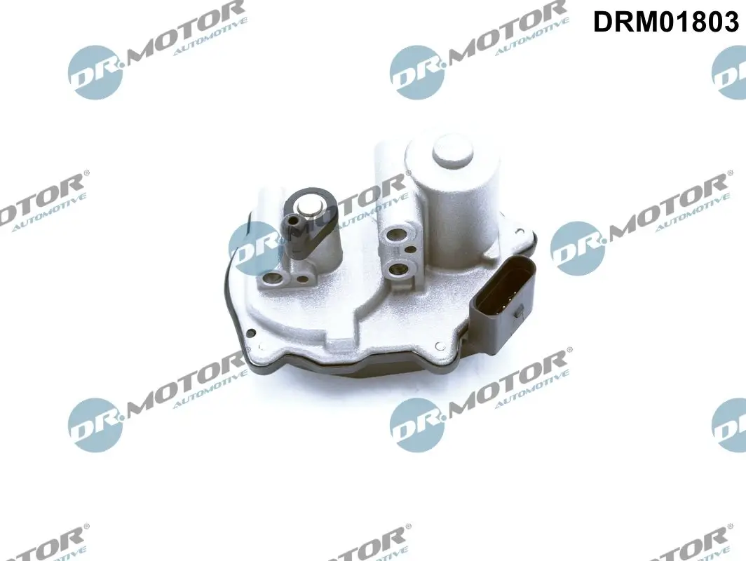 Stellelement, Drallklappen (Saugrohr) Dr.Motor Automotive DRM01803