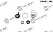 Reparatursatz, Einspritzdüse Dr.Motor Automotive DRM0181S