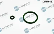 Dichtungssatz, Einspritzdüse Dr.Motor Automotive DRM0187