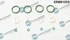 Dichtungssatz, Einspritzd&uuml;se Dr.Motor Automotive DRM0193S