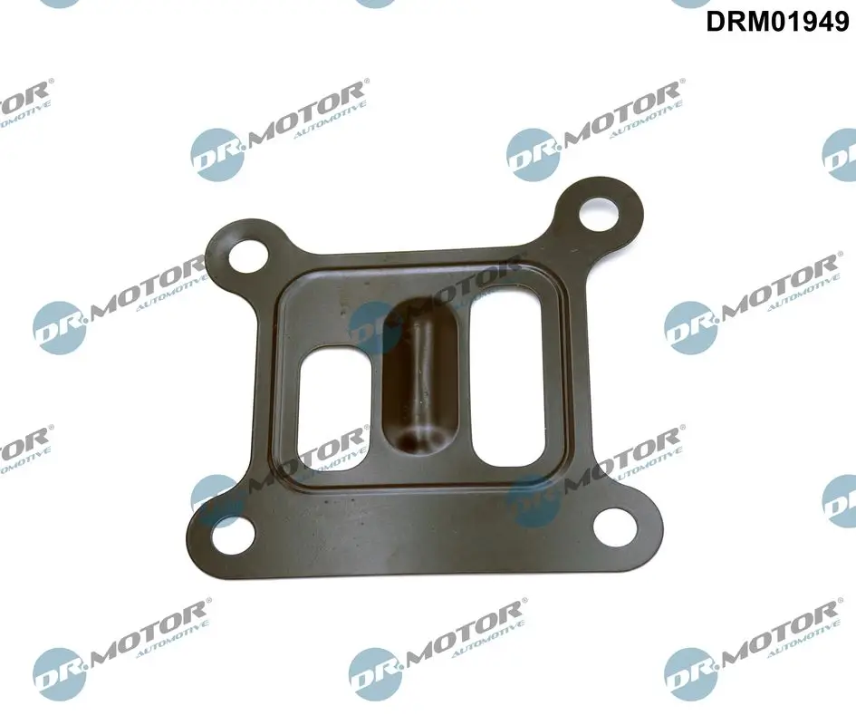Dichtung, Wasserpumpe motorseitig Dr.Motor Automotive DRM01949
