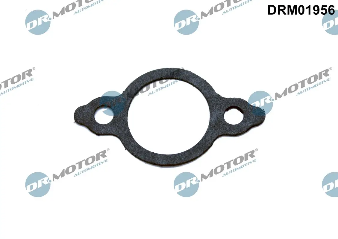 Dichtung, Leitung AGR-Ventil Dr.Motor Automotive DRM01956