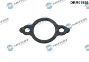Dichtung, Leitung AGR-Ventil Dr.Motor Automotive DRM01956