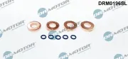 Dichtungssatz, Einspritzdüse Dr.Motor Automotive DRM0196SL