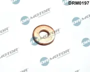 Wärmeschutzscheibe, Einspritzanlage Dr.Motor Automotive DRM0197