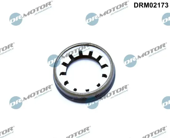Wellendichtring, Differential rechts Dr.Motor Automotive DRM02173 Bild Wellendichtring, Differential rechts Dr.Motor Automotive DRM02173