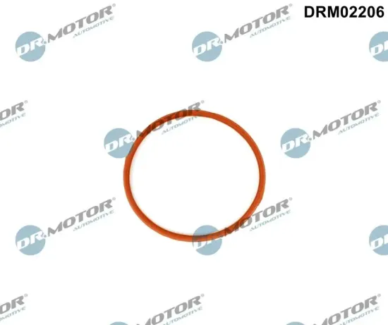 Dichtung, Drosselklappenstutzen Eingang Dr.Motor Automotive DRM02206 Bild Dichtung, Drosselklappenstutzen Eingang Dr.Motor Automotive DRM02206
