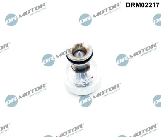 Rückschlagventil oben Motorblock Dr.Motor Automotive DRM02217 Bild Rückschlagventil oben Motorblock Dr.Motor Automotive DRM02217