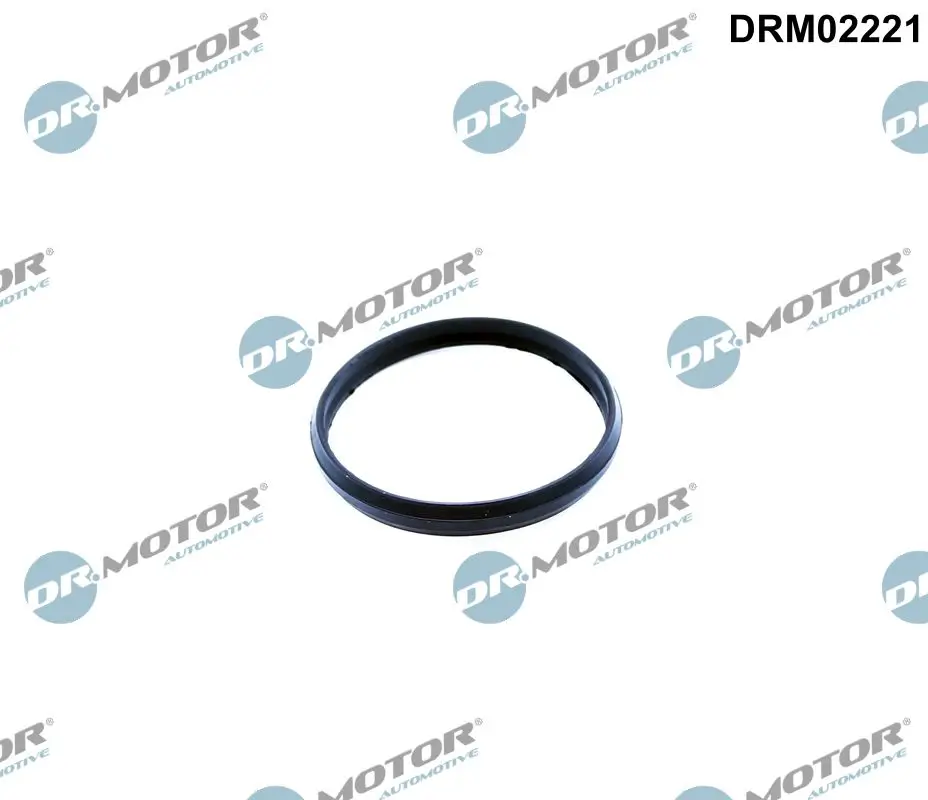 Dichtung, Steuerkettenspanner stirnseitig Dr.Motor Automotive DRM02221