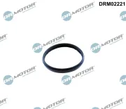 Dichtung, Steuerkettenspanner stirnseitig Dr.Motor Automotive DRM02221
